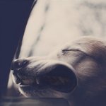 난 우울할 땐 <b>창밖</b>을 보곤 해...