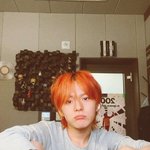 [트레저] <b>오렌지빛</b> 요시