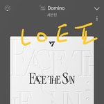 [세븐틴] 호싱이 픽.<b>시드</b> 뭐임