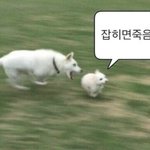 [추반] 짝남한테 <b>산책</b>하자 할건데 멘트 뭐가나아ㅜㅜ