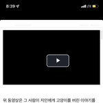 [방탈죄송] 동물학대범, 스쿨<b>미투</b> 가해자가 하는 제주 여성전용게하