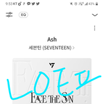 [세븐틴] 진짜