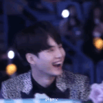 <b>슈</b>홉 뷔