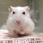 [댓글부탁해] 와 지금 앰흑 빌런 뭐냐