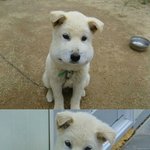 <b>도만</b> 너무 몰입이안됌