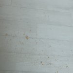 [속보] 김판녀, 또 사고쳐… 침대와 방바닥에 <b>콩고물</b> 엎었다 발언