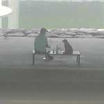 [19] 얘들아 복학생 선배가 나 꼬시는데 어떡함;;