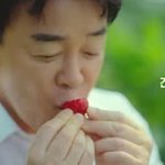 [댓글부탁해] 뭐야 나 기무세딘 그냥 <b>인스</b>슨줄 알앗어…