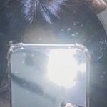 <b>슈</b> 이거 뭔지 아는사람