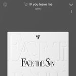 [세븐틴] ㅅㄷ) 난 이번 노래들이 아무리 신나도 울컥해