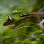 [방탄소년단] 호비 윕어스 사진 <b>요악</b>