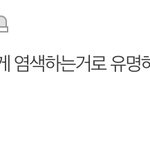 염색으로 유명한 인<b>스스</b> 누구야.??