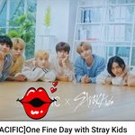 [스키즈] 네시픽>one fine day <b>with</b> Stray kids