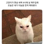뭔가 김가람 <b>잠잠</b>해졌을때