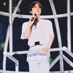 [NCT칠프] 강아지 <b>플</b><b>뷰</b>