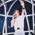 [NCT정우] 우리 강아지 돔<b>투어</b> 수고했어요~!!