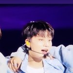 [NCT칠프] <b>도쿄돔</b>에서 강아지가 무대했대요