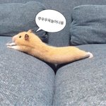 [드루와] 170에 55 <b>찍</b>음 캬캬