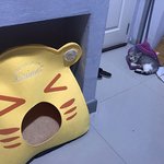 <b>멀쩡</b>한 침대 놔두고 왜 거기서 자는거야