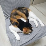 항상 내옆을 지켜주는 겨울이