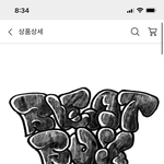 [NCT드림] 결국 핫트 디지팩 품절