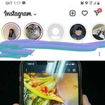 개구리 <b>노모</b>자이크