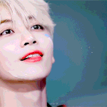 여기 세븐틴 팬들 있음??