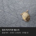 [드루와] 피부 좋고 말랐으면 못생기기 힘든듯