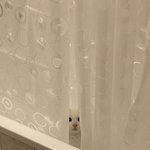 알면 알수록 모르겠는 너란 냥이...