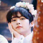 리노 눈처럼 <b>쌍수</b> 가능…?