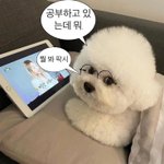 <b>스카</b> 간다…