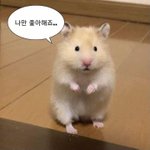 [이것좀봐줘] 캐릭터좀 찾아줘   ㅠㅠㅠ