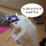 [ㅈㄱㄴ] 나 <b>약간</b> 이런춤들 못추는데