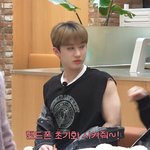 [스키즈] 우리돼끼