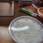 외국인들 김치 너무 많이 먹어서 <b>명함</b> 못내밀겠음 ㅋㅋ