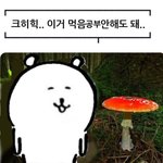 [댓글부탁해] 나 고삼 올라와서 성격 좀 많이 바뀜