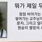 [댓글부탁해] 인스타 번호연결 안 했는데도 왜 자꾸 떠??