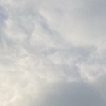 나 박재수 7시 독서실 <b>도착</b> ㅇㅇ ㅅㄱ