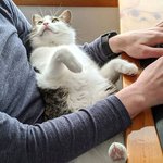 사랑을 <b>독차지</b>하는 반려동물들