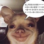 [드루와] <b>마리</b>숱 조카많아서 레이어드컷해도