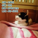 [이것좀봐줘] 초<b>미묘</b> 오월이 사진들고 왔어요~