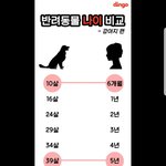 울애기들 나이야 사람나이 6,70<b>대야</b>