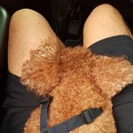 <b>형아</b> 품 속으로 쓕 숨을거예요? ㅎㅎ
