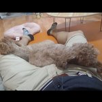평생 <b>모쏠</b>이어도 좋으니 애기들 아프지말구