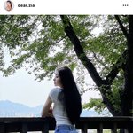 프리지아 인스타 <b>올림</b>
