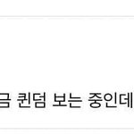 아이브도 <b>우주소녀</b> 투표 ㄱㄱ