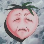[댓글부탁해] 나 자퇴했는데 뭐할까 ㅠㅠ