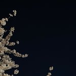 아진짜 립싱크좀 적당히하자 진짜 ㅋㅋ