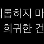 [군대] <b>지대</b> 웃긴 명언