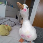 [댓글부탁해] 귀칼이랑 웹툰 외지주 둘다 본 사람